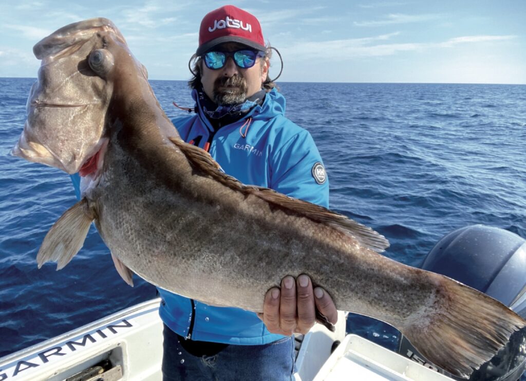 consigli per la pesca in verticale della cernia