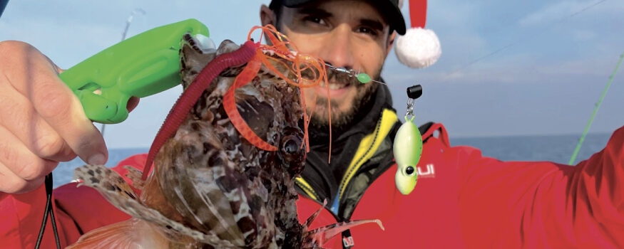 scorfani pesca