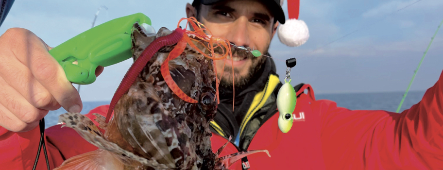 scorfani pesca