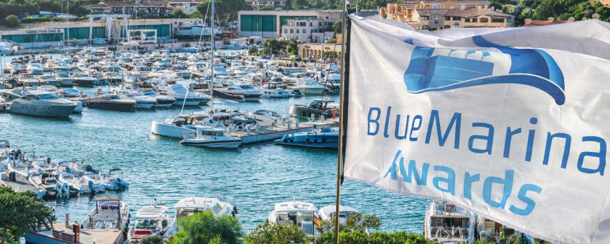 Blue Marina Awards 2025