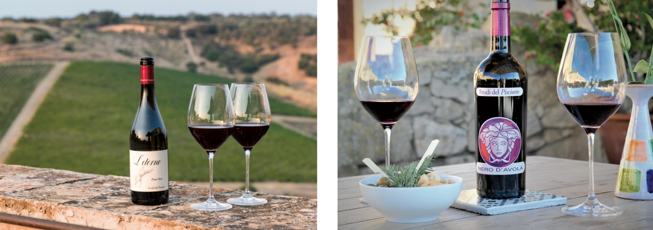 vini sicilia