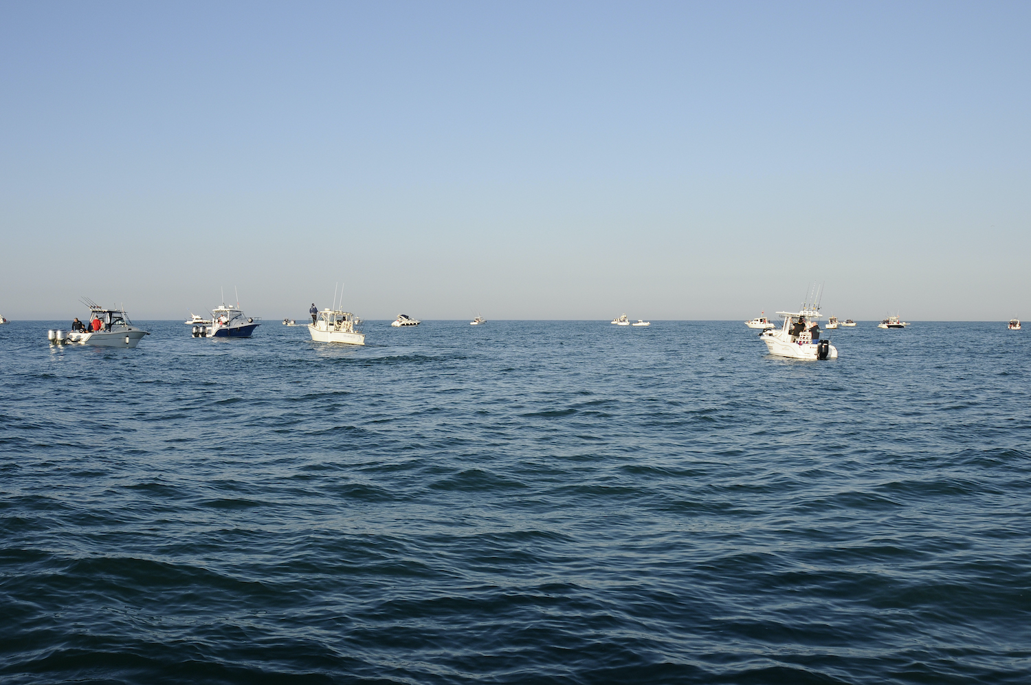 CIRCEO TUNA DRIFTING