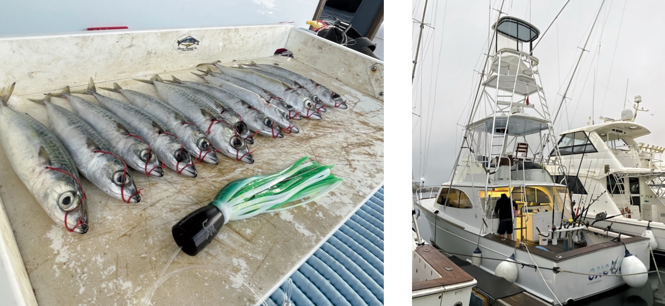 a pesca in Marocco 