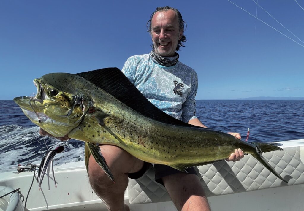 lampughe traina d'altura