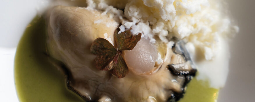 ricetta difficoltà medio-alta ostrica