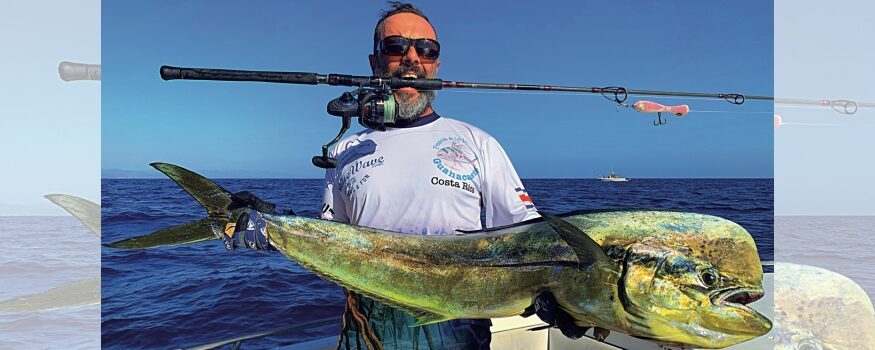 traina grossi esemplari di lampughe