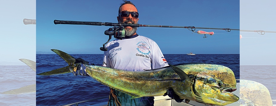 traina grossi esemplari di lampughe