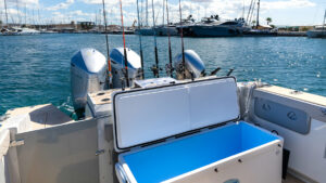 Noah 36 Cabin Fishing - vasca del vivo