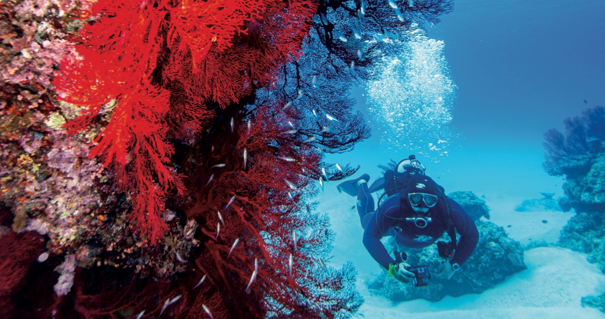 biodiversità aree marine protette