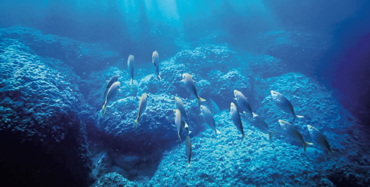 respirare sott'acqua immersioni subacquee