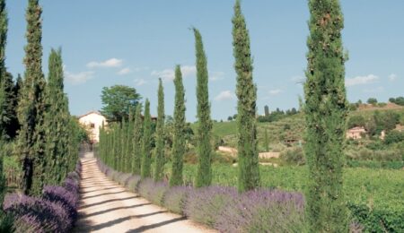 Castellare di Castellina