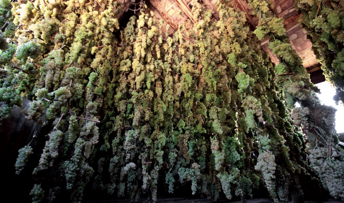 Cantine in Toscana Castellare di Castellina