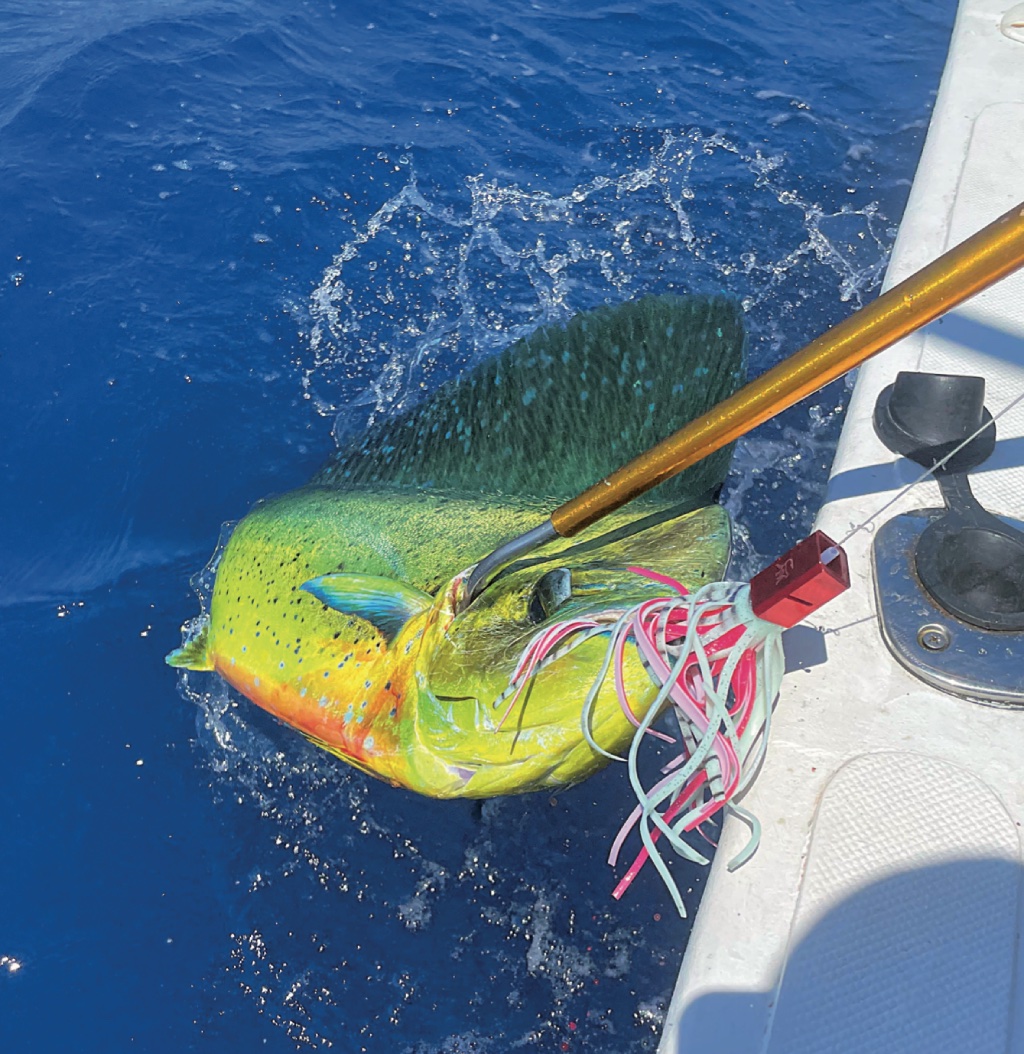 raffio accessori utili in altura a pesca