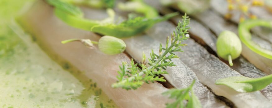 spigola alle alghe ricetta