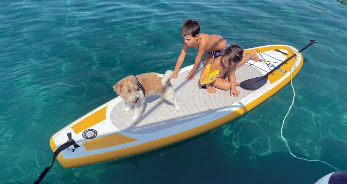 in barca con il cane