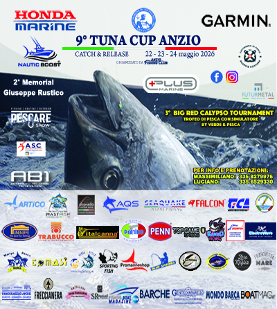 Mondo Barca Market | Sfoglia Anteprima