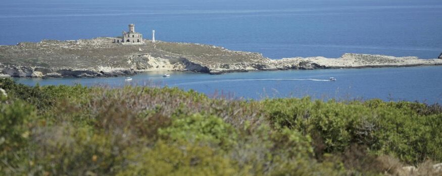 isole Tremiti in barca