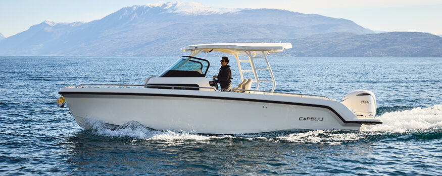 Alma 27