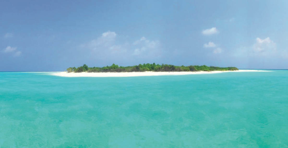 pesca al tropico