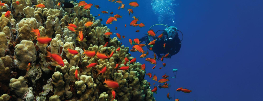 ABOFA 2026: la fiera del mare ad Aqaba